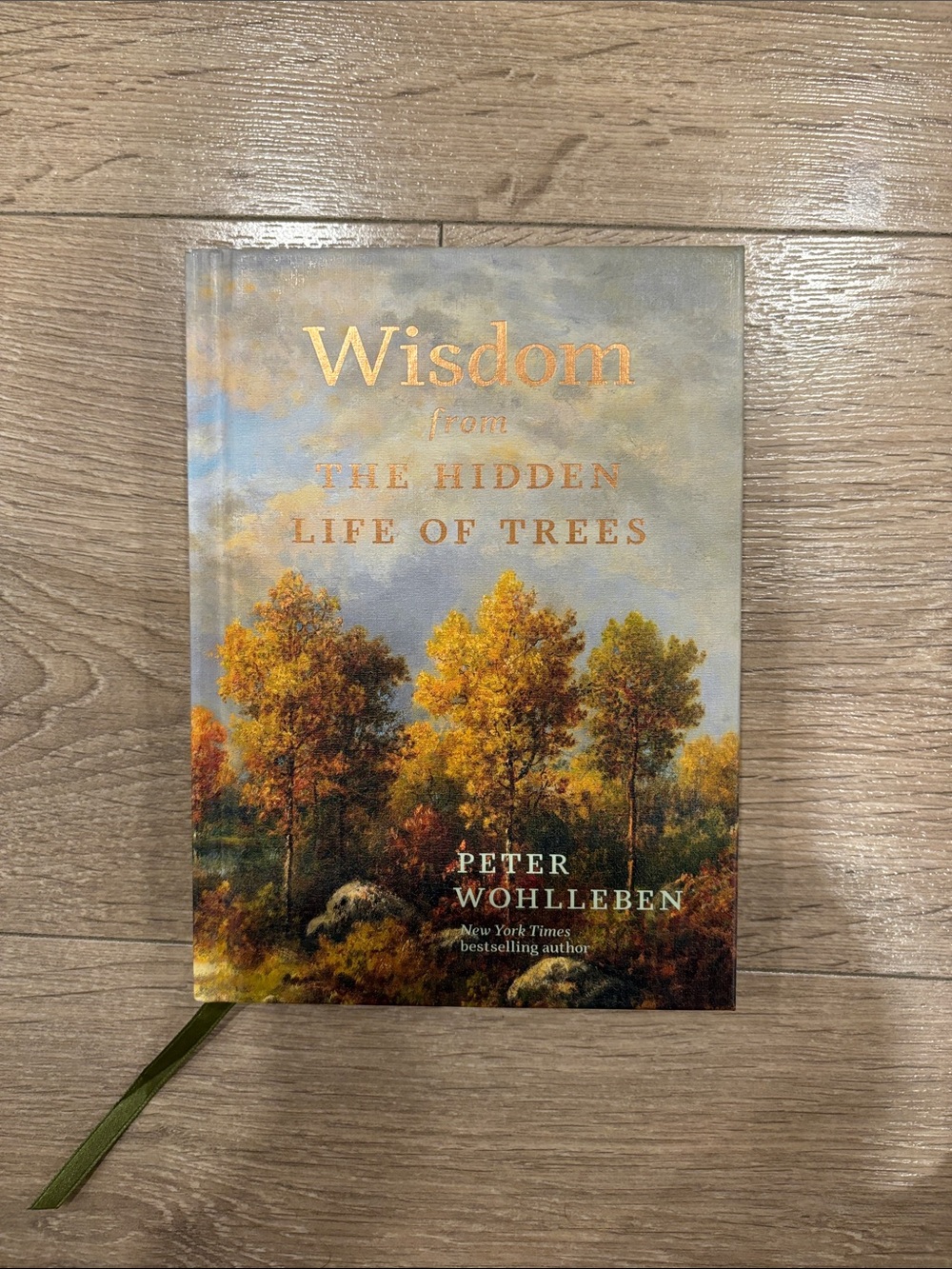 Wisdom from the Hidden Life of Trees